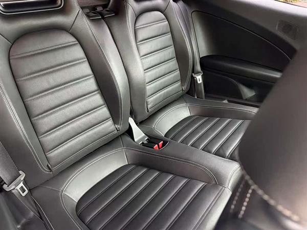 尚酷 2011款 R 2.0TSI