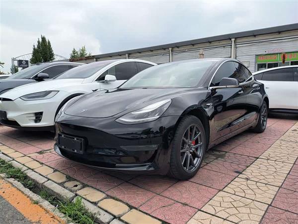 Model 3(进口) 2019款 长续航后驱版