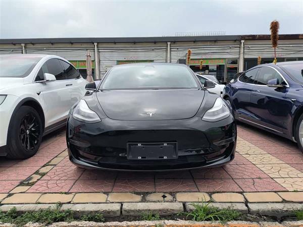 Model 3(进口) 2019款 长续航后驱版