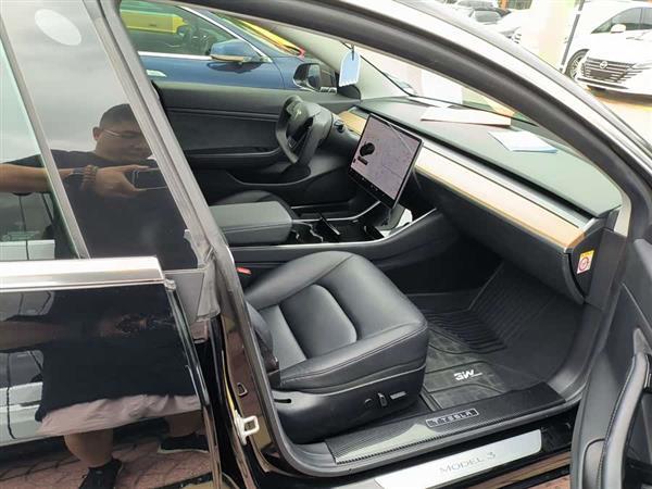 Model 3(进口) 2019款 长续航后驱版