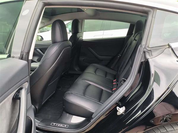 Model 3(进口) 2019款 长续航后驱版