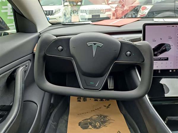 Model 3(进口) 2019款 长续航后驱版