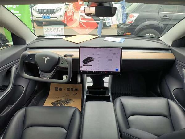 Model 3(进口) 2019款 长续航后驱版
