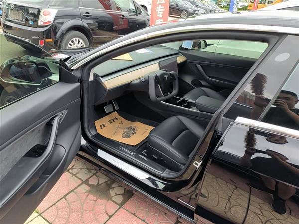 Model 3(进口) 2019款 长续航后驱版