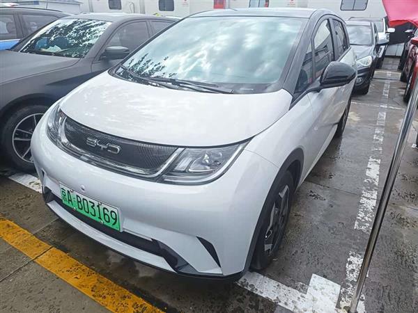 海豚 2021款 405km 时尚版