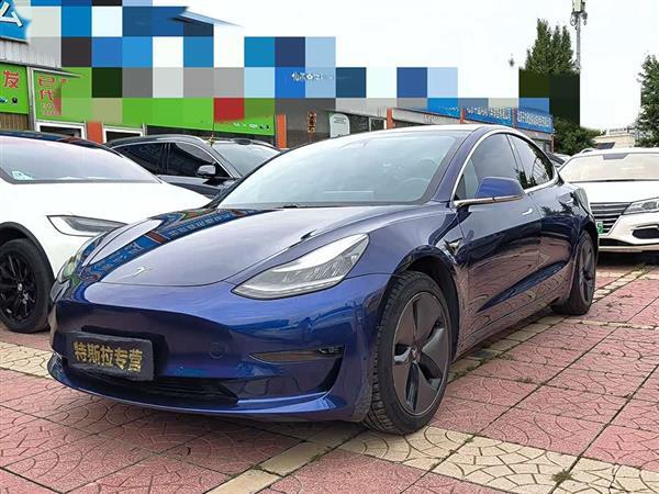 Model 3(进口) 2019款 长续航后驱版