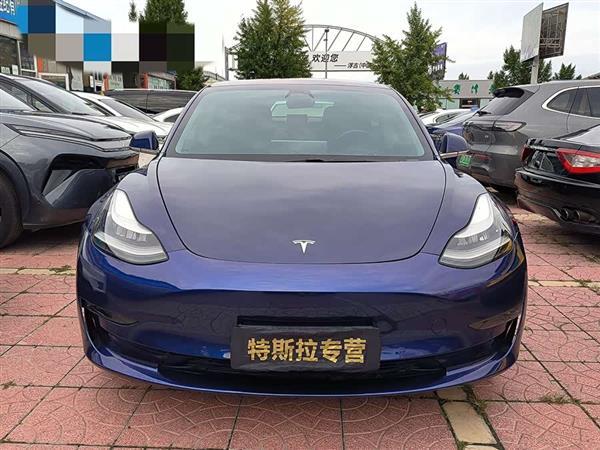 Model 3(进口) 2019款 长续航后驱版