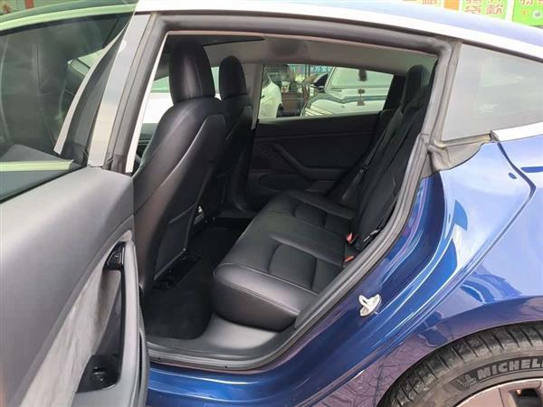 Model 3(进口) 2019款 长续航后驱版
