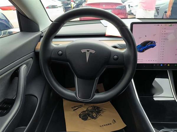 Model 3(进口) 2019款 长续航后驱版