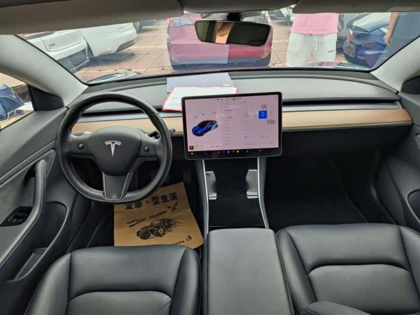Model 3(进口) 2019款 长续航后驱版