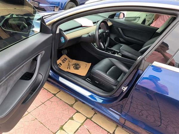 Model 3(进口) 2019款 长续航后驱版