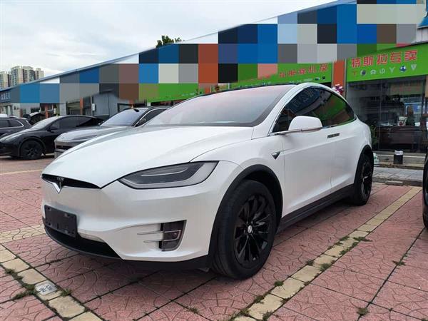 Model X 2017款 Model X 100D 长续航版