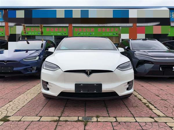 Model X 2017款 Model X 100D 长续航版