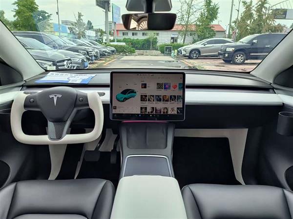 Model Y 2021款 标准续航后驱版