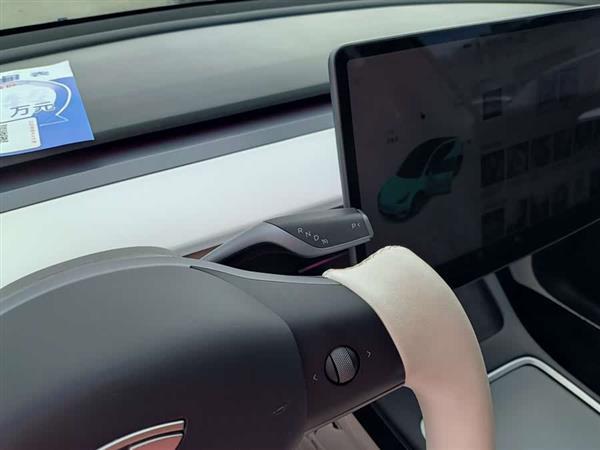 Model Y 2021款 标准续航后驱版