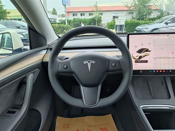 Model Y 2021款 标准续航后驱版