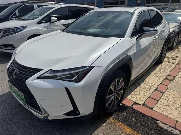雷克萨斯UX新能源 2020款 300e 纯·享版