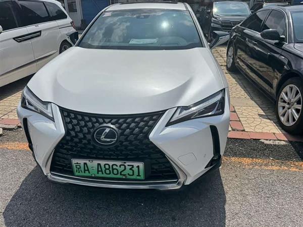 雷克萨斯UX新能源 2020款 300e 纯·享版