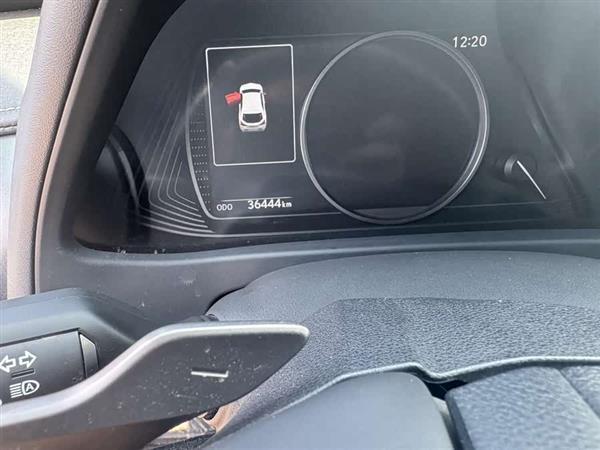 雷克萨斯UX新能源 2020款 300e 纯·享版