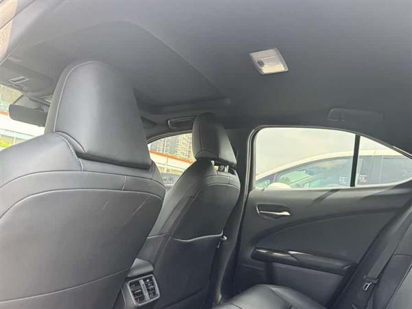 雷克萨斯UX新能源 2020款 300e 纯·享版