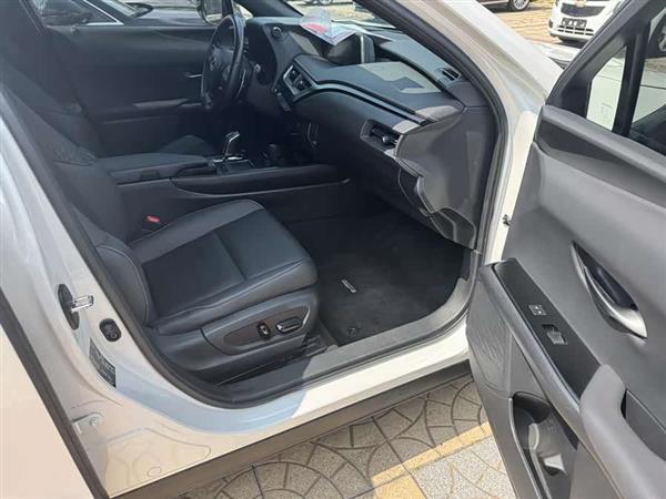 雷克萨斯UX新能源 2020款 300e 纯·享版