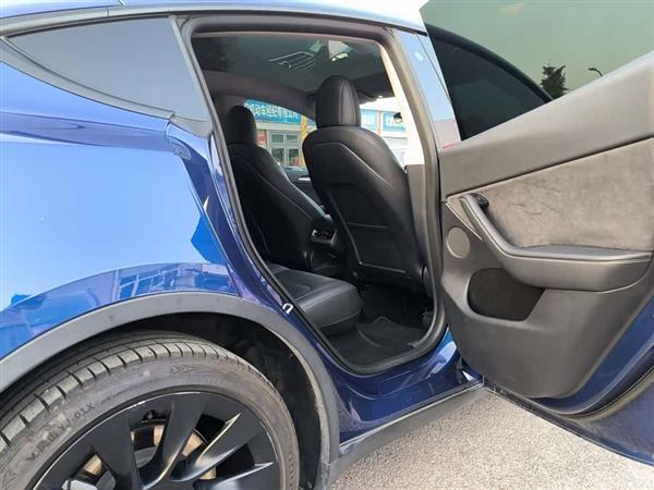 Model Y 2021款 长续航全轮驱动版