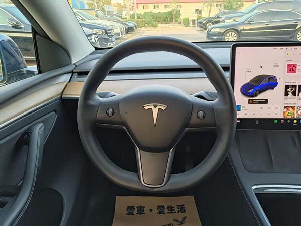 Model Y 2021款 长续航全轮驱动版