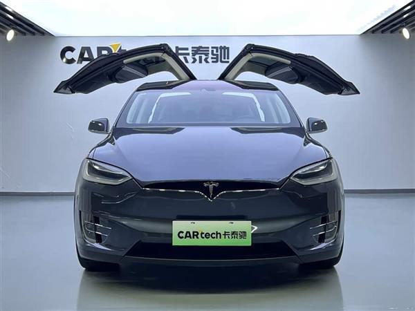 Model X 2016款 Model X P100D Performance高性能版
