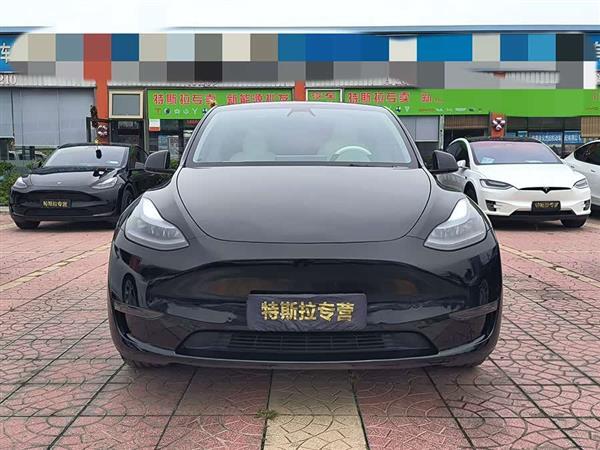 Model Y 2022款 长续航全轮驱动版
