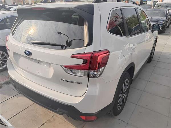 森林人 2024款 2.5i AWD 尊贵版EyeSight