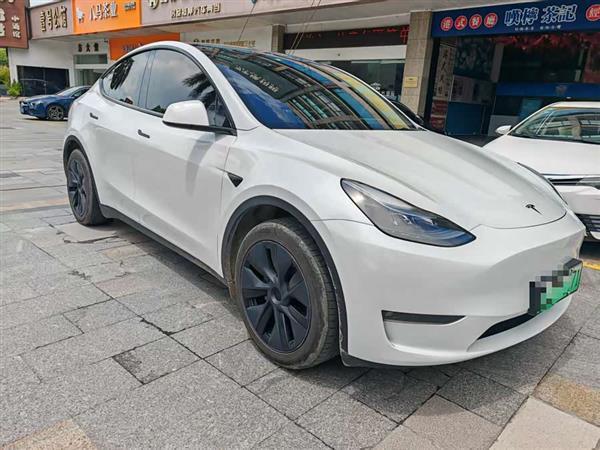 Model Y 2024款 长续航全轮驱动版