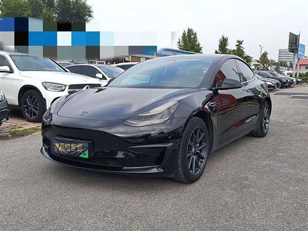 Model 3 2019款 标准续航后驱升级版