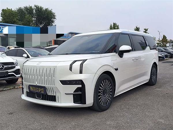 极氪009 2022款 WE版