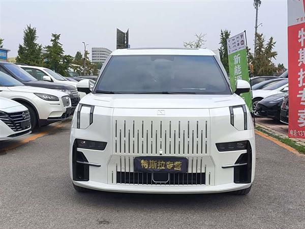 极氪009 2022款 WE版