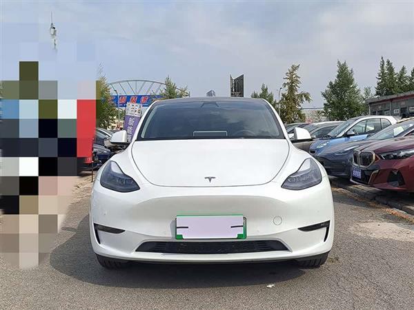 Model Y 2022款 改款 长续航全轮驱动版