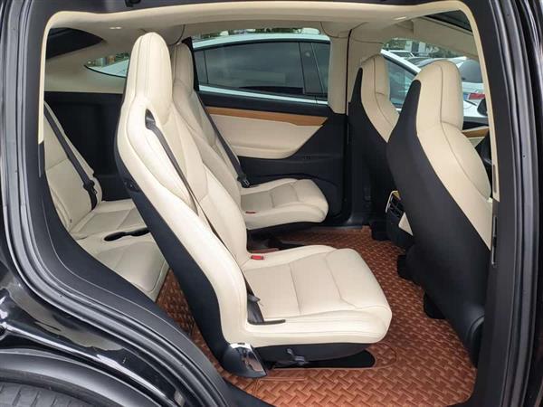 Model X 2017款 Model X 100D 长续航版