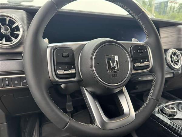 坦克300 2022款 2.0T 边境限定版