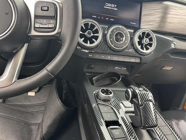 坦克300 2022款 2.0T 边境限定版
