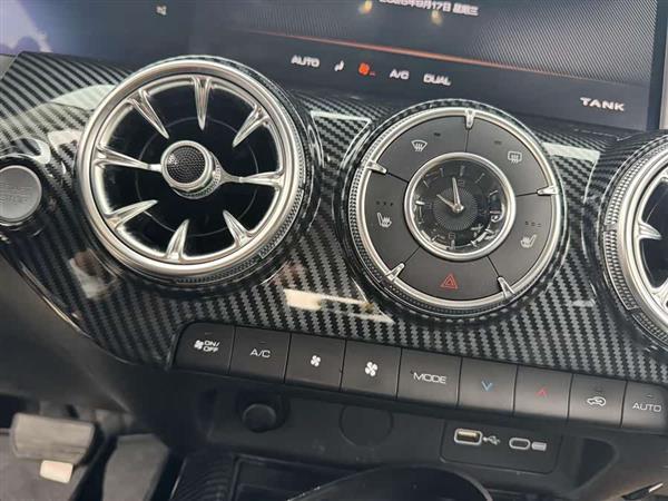 坦克300 2022款 2.0T 边境限定版