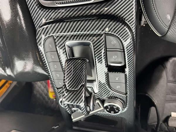 坦克300 2022款 2.0T 边境限定版