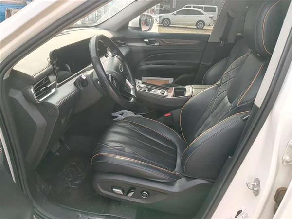 领裕 2021款 EcoBoost 225 尊领型PLUS 6座