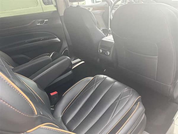 领裕 2021款 EcoBoost 225 尊领型PLUS 6座