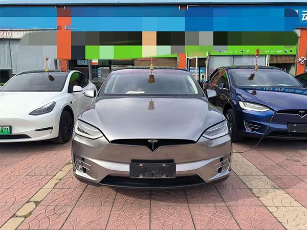 Model X 2017款 Model X 100D 长续航版