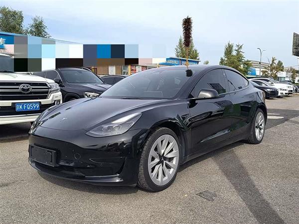 Model 3 2022款 后轮驱动版