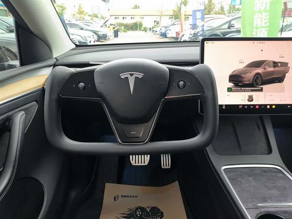 Model Y 2022款 Performance高性能全轮驱动版