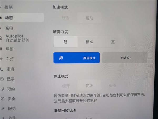 Model Y 2022款 Performance高性能全轮驱动版