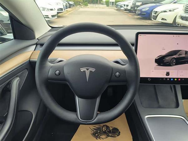 Model 3 2022款 后轮驱动版