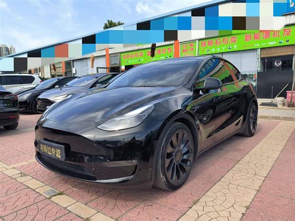 Model Y 2022款 Performance高性能全轮驱动版