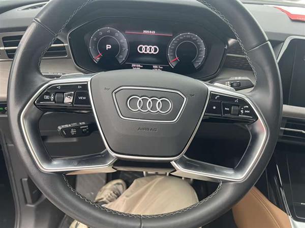 奥迪Q6 2024款 50 TFSI quattro 行云型 羽林套装 6座
