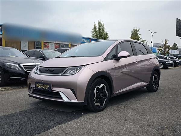 海豚 2021款 405km 时尚版